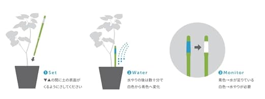 Cabinoche SUSTEE Watering Checker Susty, S Black - Image 7