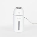 Hey Dewy Portable Facial Hydrating Cool Mist Humidifier by HeyDewy