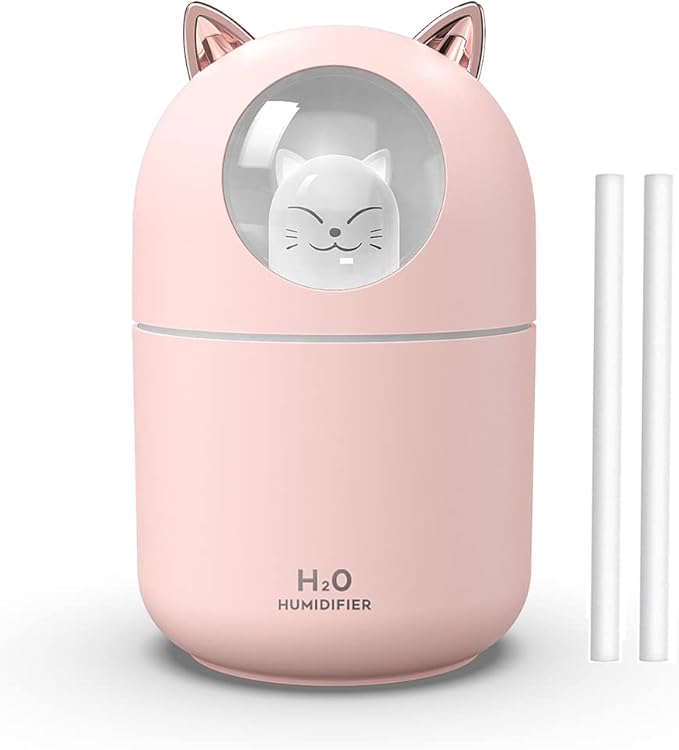 Portable 300ml Mini Cool Mist Humidifier by Dgffan