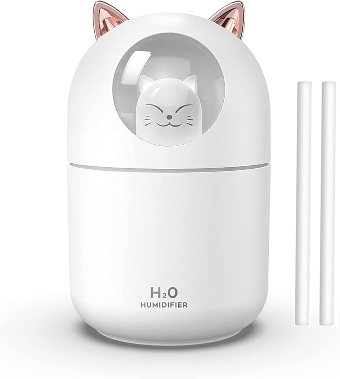 Portable Small Humidifier, 300ml Mini Cool Mist Humidifier by Dgffan