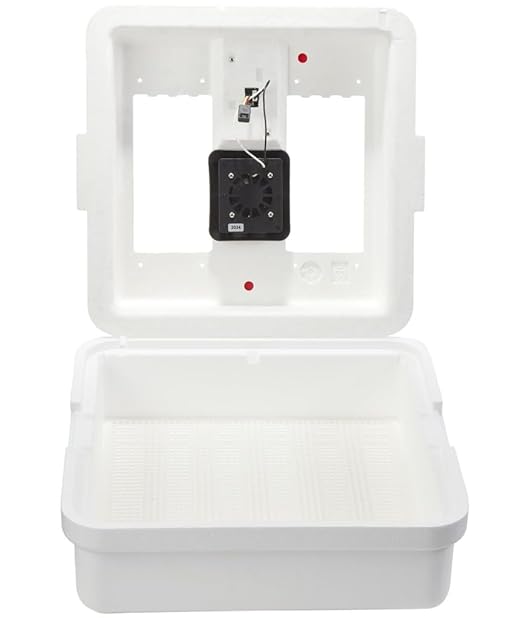 Little Giant® Digital Still Air Incubator | 41 Egg Capacity | Chick Egg by LittleGiant%C2%AE