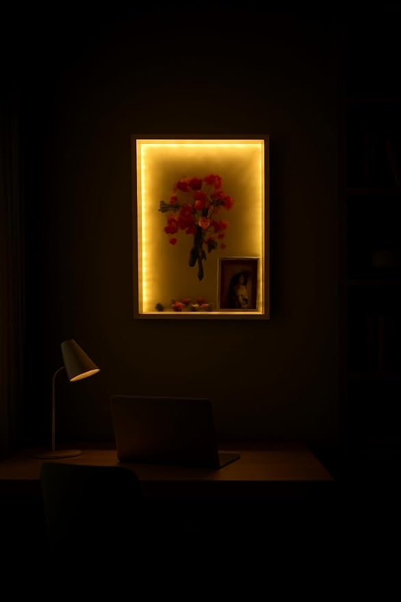 Shadow Box with LED Light for Dried Flowers, Changeable Picture Display & - Image 4