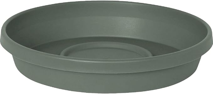 Bloem Terra Resin Saucer Tray: 8" Bottom Width by Bloem