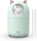Portable 300ml Mini Cool Mist Humidifier by Dgffan