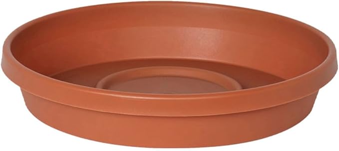 Bloem Terra Resin Saucer Tray: 15" Bottom Width by Bloem