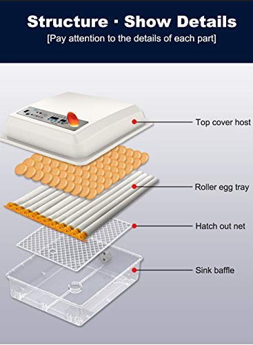 Egg Incubator, Egg Incubator - Image 6