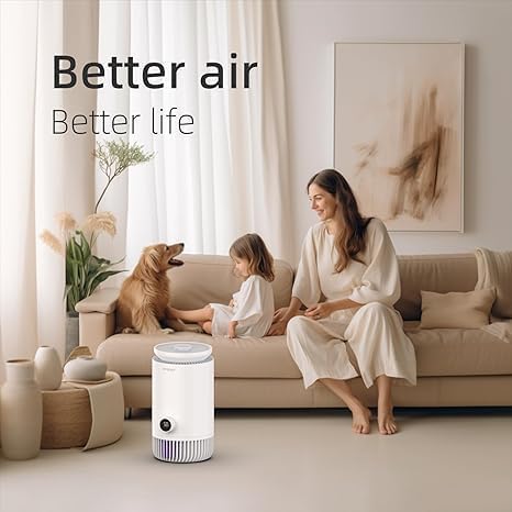 2-in-1 Humidifier and Air Purifier Combo, Mistless Evaporative Humidifier and - Image 6