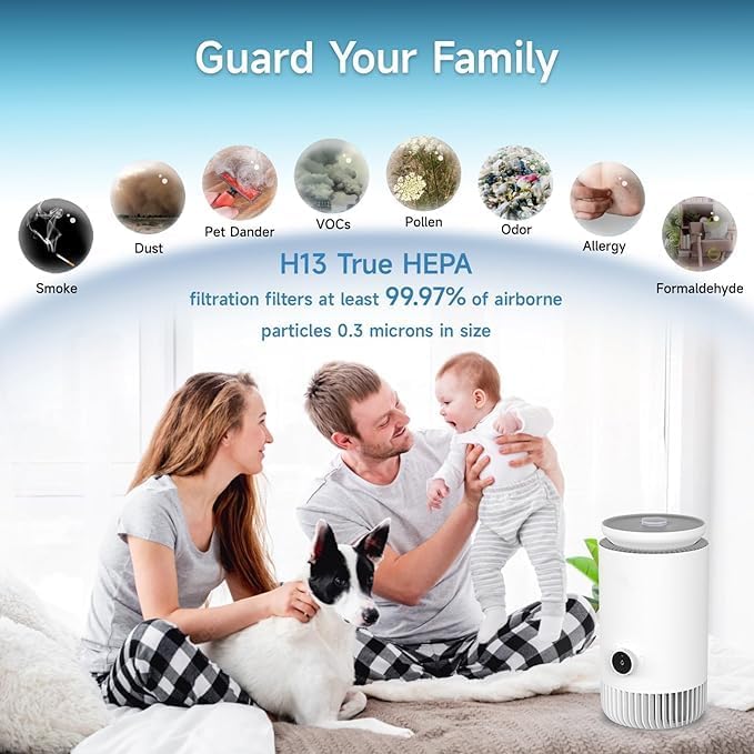 2-in-1 Humidifier and Air Purifier Combo, Mistless Evaporative Humidifier and - Image 4