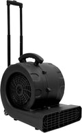 1HP Air Mover, 6-Hours Timer Carpet Dryer, Floor Drying Fan by WENBINGSHOP