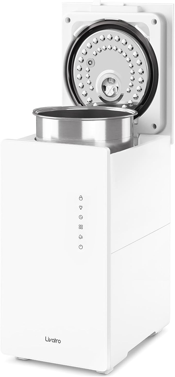 6L Stainless Steel Warm Mist Humidifier by Livatro