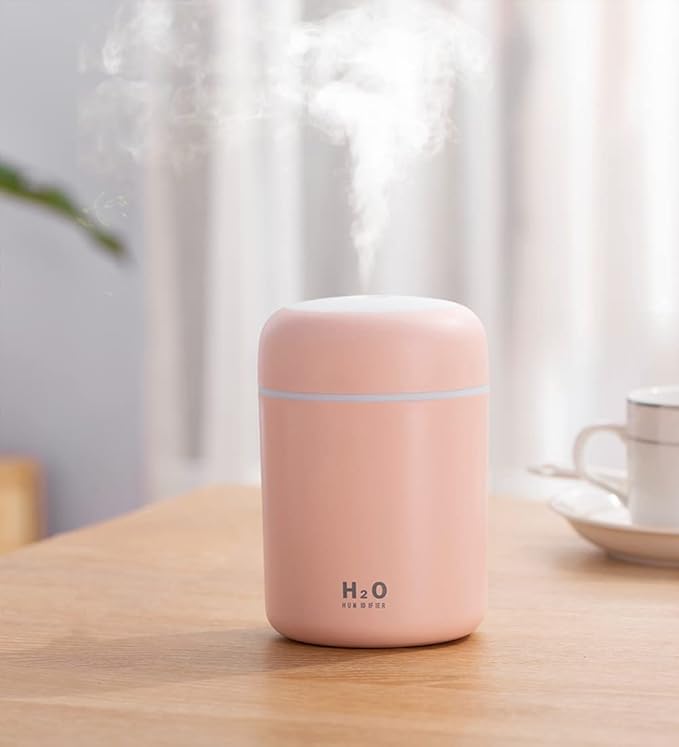 Portable Mini Humidifier, 300ml by HISKFUN