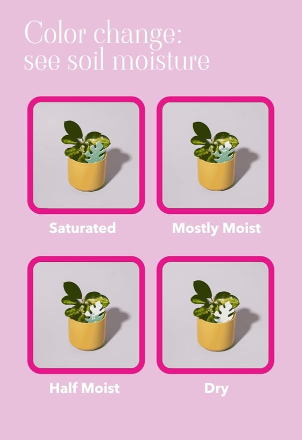 Biodegradable Soil Moisture Meter, Visual Reminder to Water Your Indoor Plants - Image 8