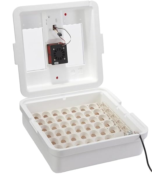 Little Giant® Digital Circulated Air Incubator by LittleGiant%C2%AE
