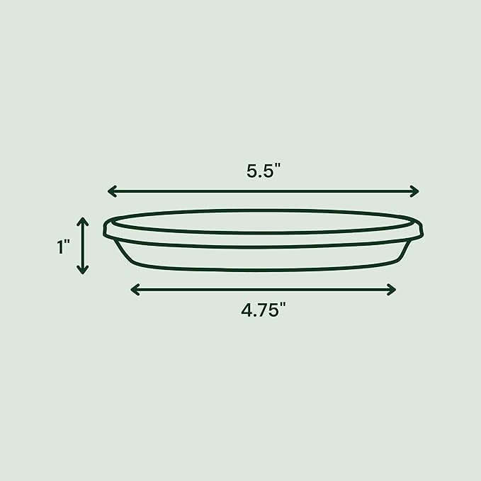 Bloem Terra Resin Saucer Tray: 4.75" Bottom Width - Image 3