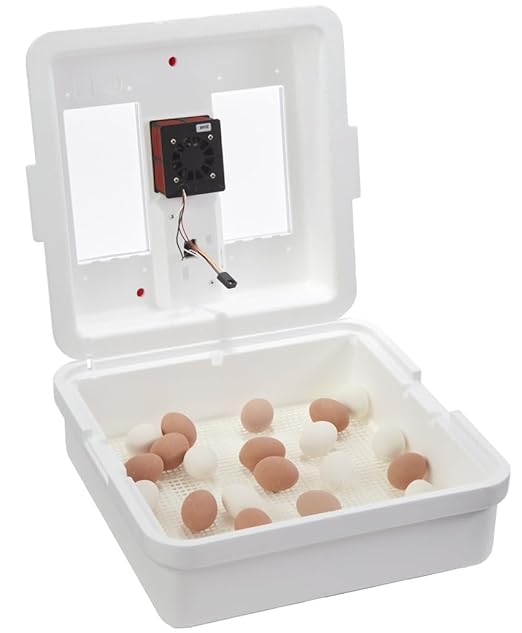 Little Giant® UL Circulated Air Incubator by LittleGiant%C2%AE