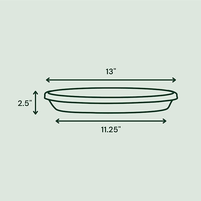 Bloem Terra Resin Saucer Tray: 11.25" Bottom Width - Image 2