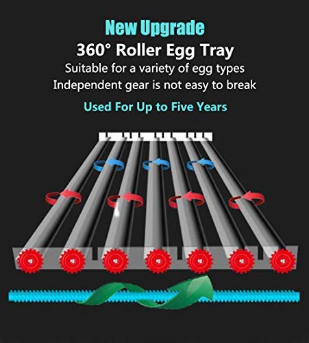 Egg Incubator - Egg Incubator - Image 5