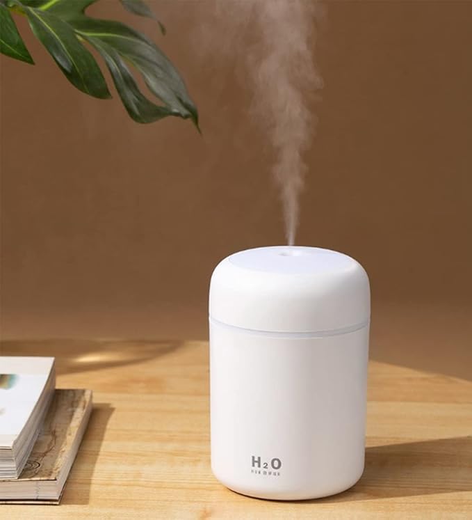 Portable Mini Humidifier, 300ml by HISKFUN