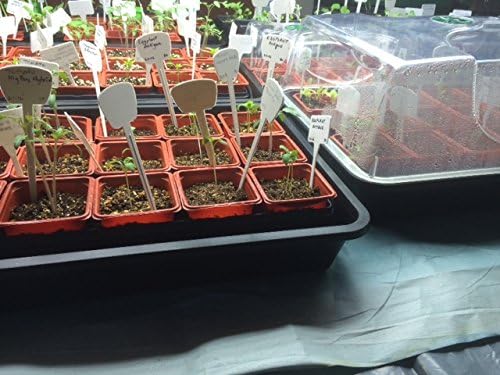 EarlyGrow 70738 Medium Domed Propagator - Image 4