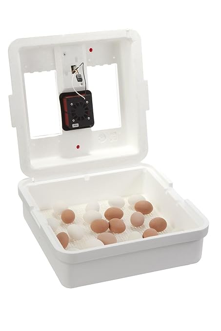 Little Giant® Digital Still Air Incubator | 41 Egg Capacity | Chick Egg - Image 6