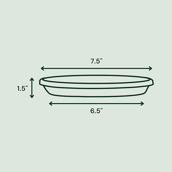 Bloem Terra Resin Saucer Tray: 6.5" Bottom Width - Image 3