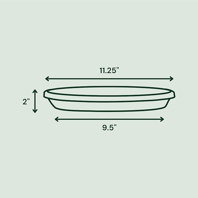 Bloem Terra Resin Saucer Tray: 9.25" Bottom Width - Image 2