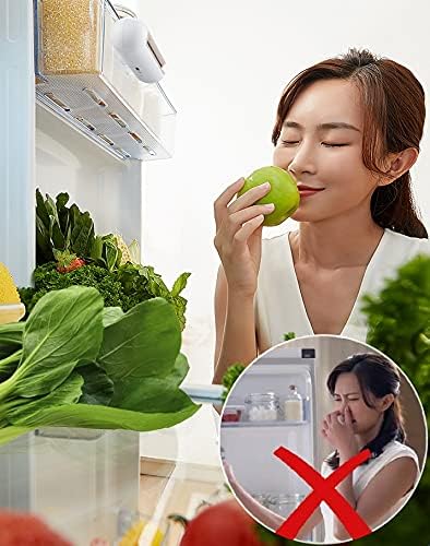 Reusable Refrigerator Deodorizer - Image 8