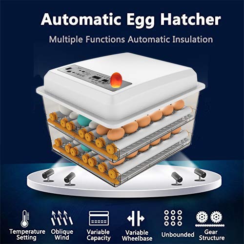 Egg Incubator, Egg Incubator - Image 4