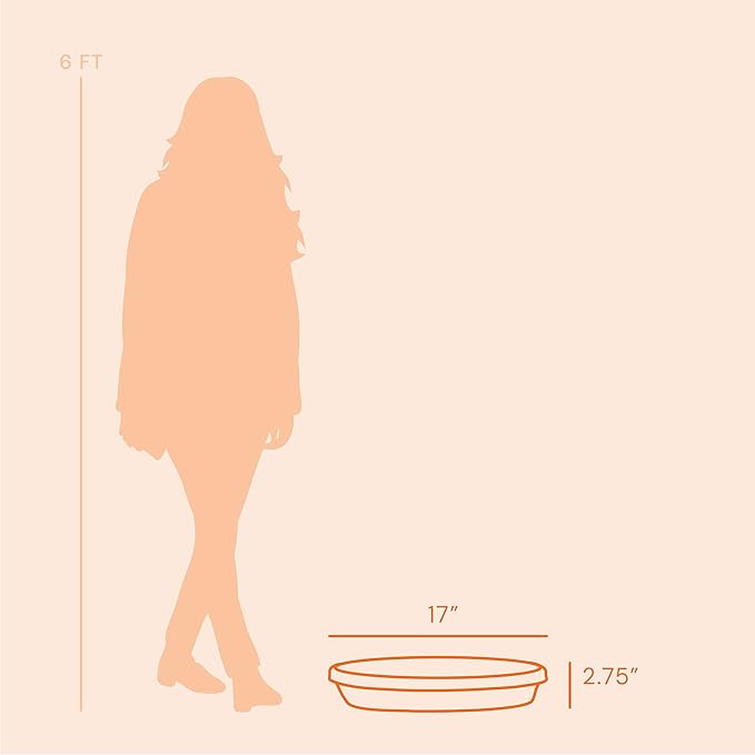 Bloem Terra Resin Saucer Tray: 15" Bottom Width - Image 7