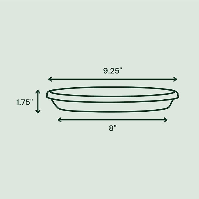 Bloem Terra Resin Saucer Tray: 8" Bottom Width - Image 2