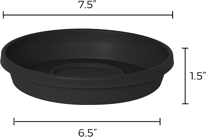 Bloem Terra Resin Saucer Tray: 6.5" Bottom Width - Image 5