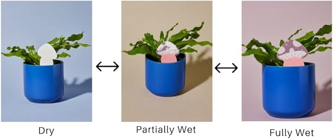 Biodegradable Soil Moisture Meter, Visual Reminder to Water Your Indoor Plants - Image 3
