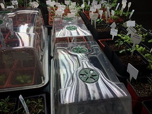 EarlyGrow 70738 Medium Domed Propagator - Image 3
