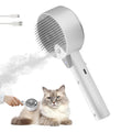 Cloud Care Cat Brush for Indoor Cat Steam Brush for Shedding Spritz Defur Comb by rolemon