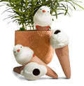 Bird Shaped Plant Watering Globes Plants Suitable by YFDB