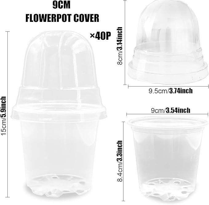 Transparent Nursery Pots 3.5Inch - Image 2