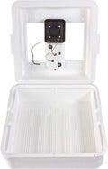 Little Giant® Digital Still Air Incubator | 41 Eggs | Egg Incubator by LittleGiant%C2%AE