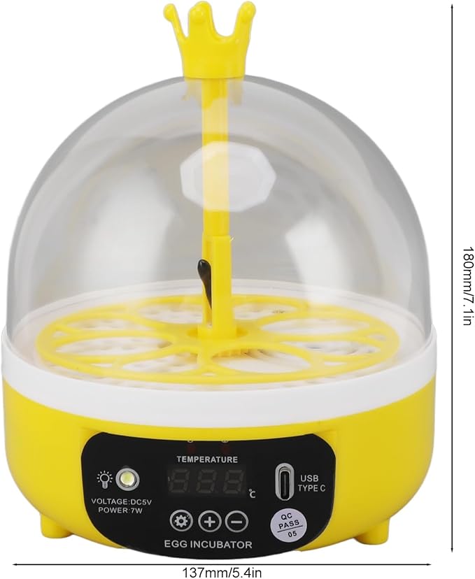 Hapivida 4 Eggs Mini Automatic Incubator, 7W Temperature Humidity Control - Image 5