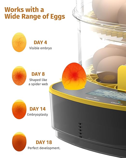 Egg Incubators for Hatching Eggs, Double-Layer 48 Egg Incubator - Image 5