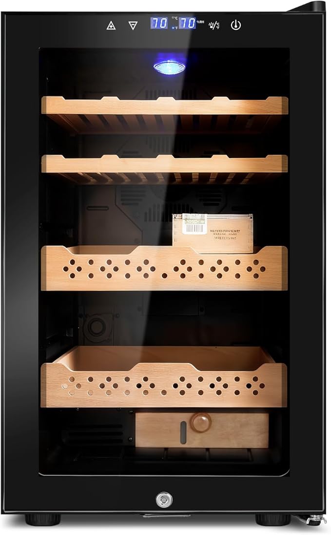 Electric Cooler Cabinet 70L by FoMup