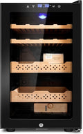 Electric Cooler Cabinet 70L by FoMup