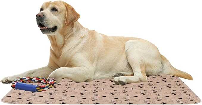 Pee Pads - Fast Absorbent Pet Training Mat, 1 Piece Reusable Washable Absorbent - Image 9
