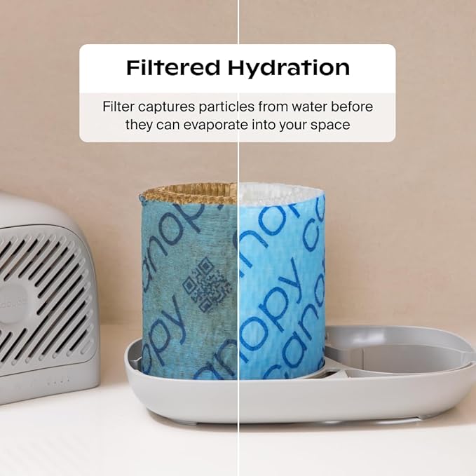 Canopy Bedside Humidifier 2.0, Moonstruck, 36 HR Run Time, 2.5L Capacity - Image 5