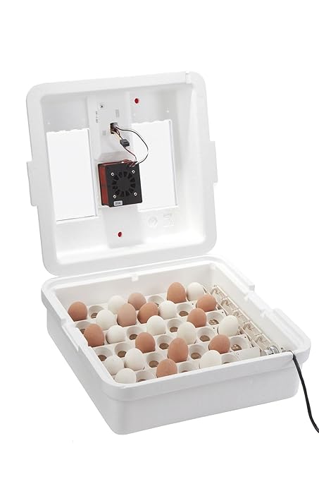 Little Giant® Digital Circulated Air Incubator - Image 6