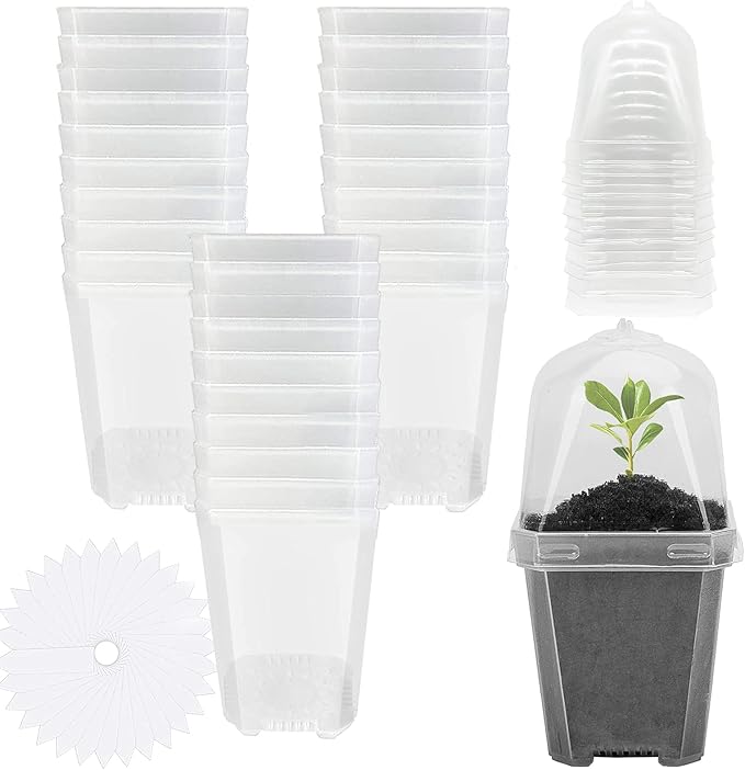 EBaokuup 30PCS Clear Plant Nursery Pots by EBaokuup