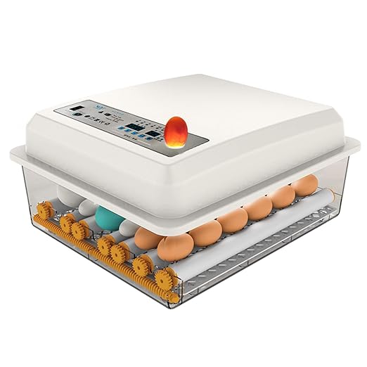 Egg Incubator, Egg Incubator by HKDQ