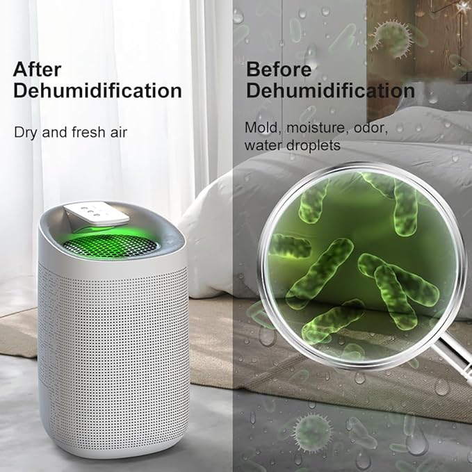 1000ml Air Dehumidifier w/Purifying Function - Image 5