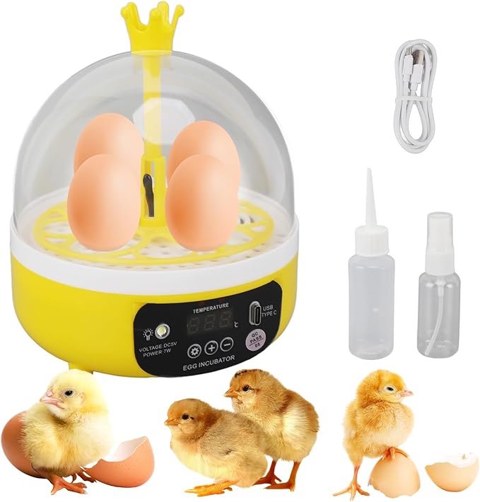 4 Eggs Mini Incubator with Transparent Lid, 7W Automatic Temperature Humidity by Tissting