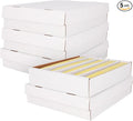 BCW Super Monster 5 Row Trading Card Storage Box by BCW