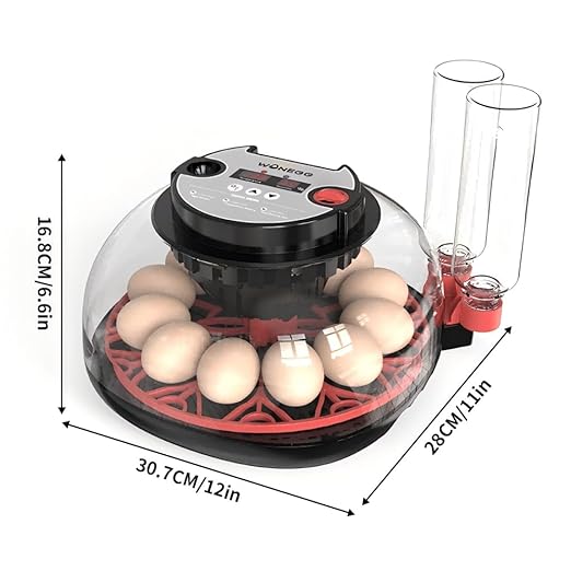 incubators for hatching eggs，12 Egg Incubator, egg incubator - Image 8